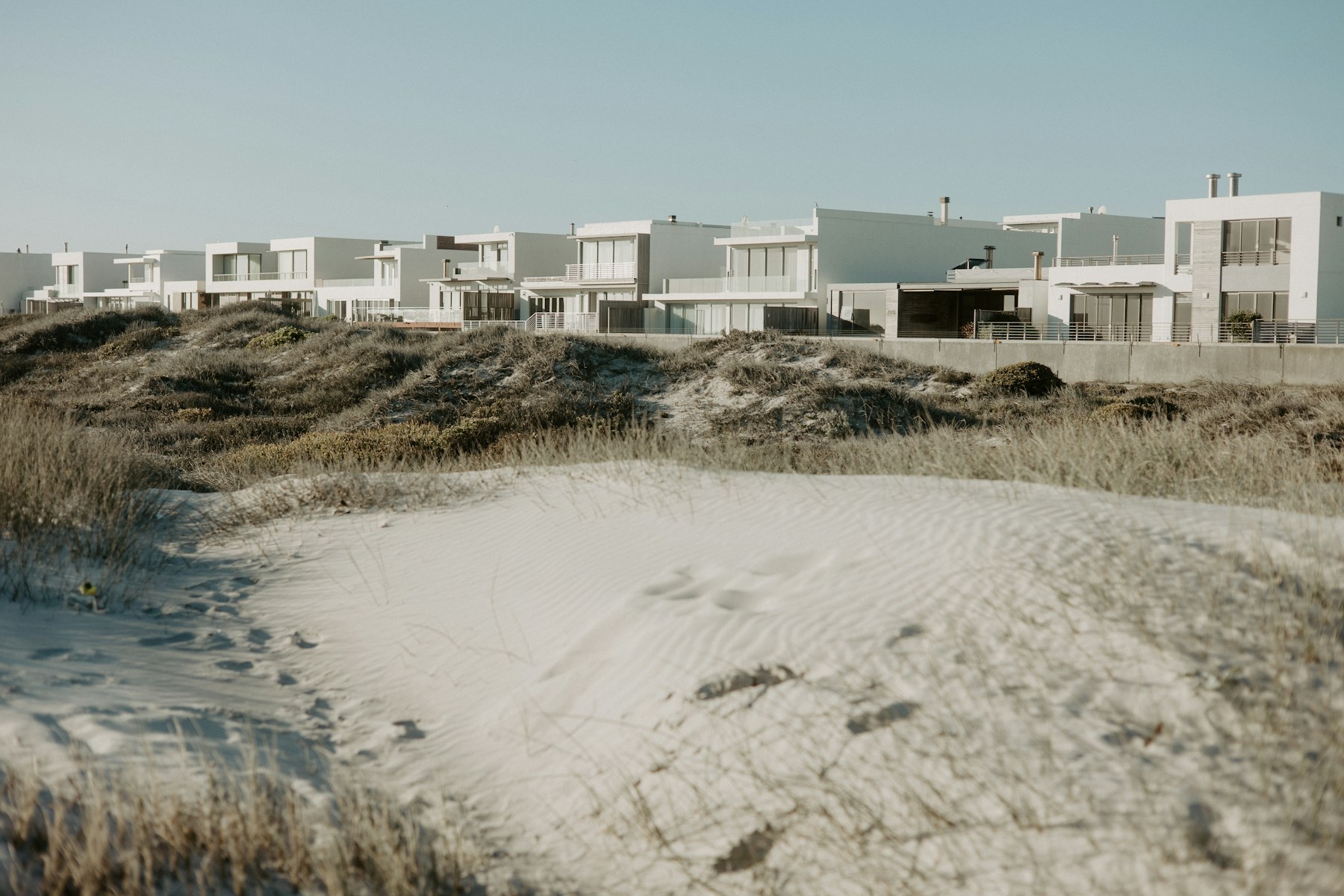 Contemporary coastal homes behind Cape fynbos and dunes